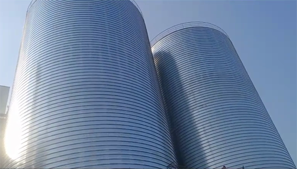 青田2座混凝土高架卷板仓